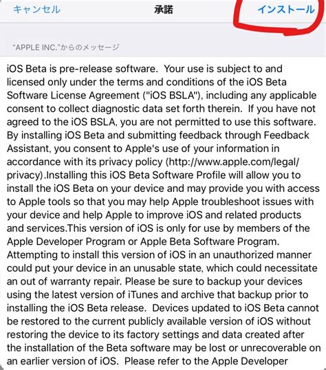 Apple iOS Beta に対する画像結果