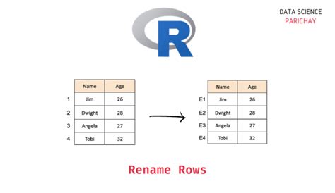 Image result for Rename in Row Names in Python