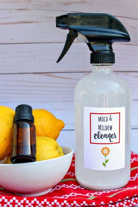 Homemade Mold Cleaner Recipes に対する画像結果