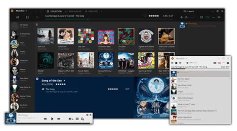 Image result for How to Customize MusicBee Layout
