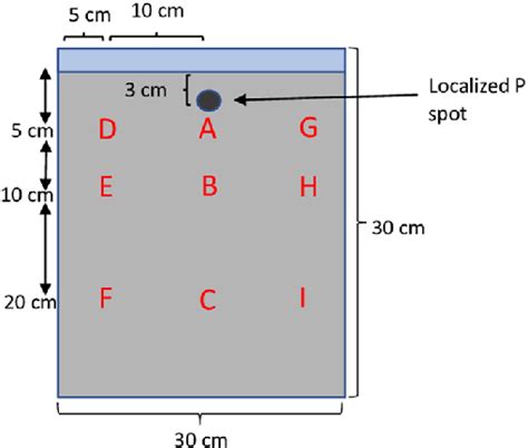 Image result for Root Box