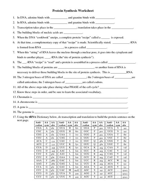 Image result for Protein Synthesis Worksheet Translating Answer Key