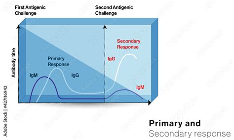 Immunity Graph に対する画像結果