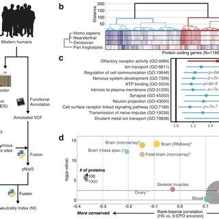 Protein Coding Genes Elements に対する画像結果