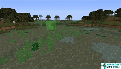 Toradh íomhá ar Minecraft Swamp Build Hacks