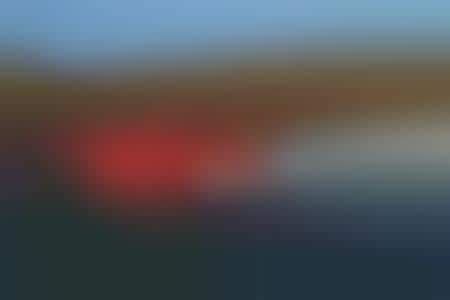 Image result for Python Cars Boat