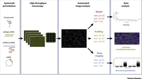 Image result for High-Throughput Screening Icon