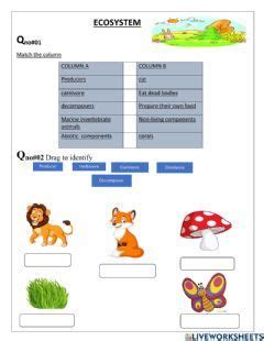 Toradh íomhá ar Problem Statement Science Exam Worksheet