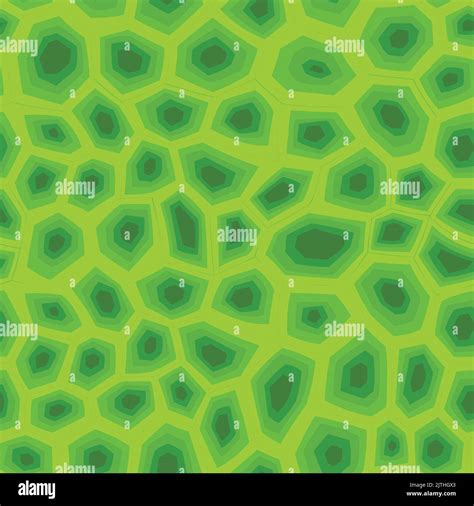 Green Turtle Shell Pattern に対する画像結果