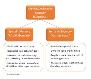 Image result for Epiosocic Memory Examples