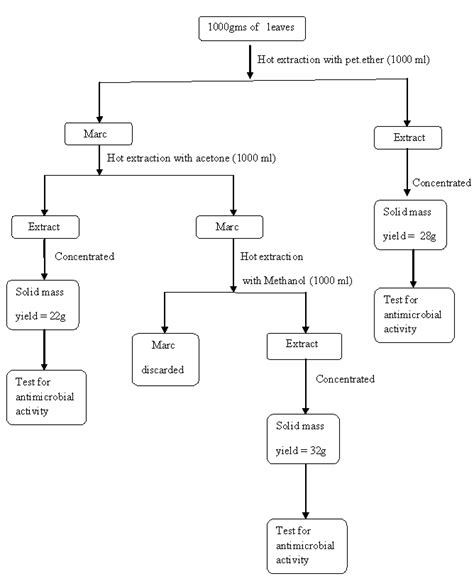 Extraction Flow Chart に対する画像結果