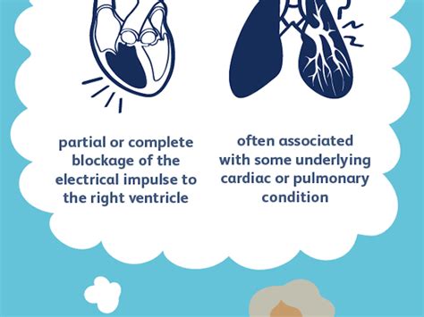 Image result for Life Processes Heart Diagram Class 10