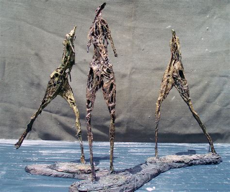 Image result for Lack of Transitional Forms