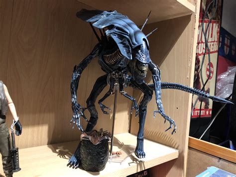 Afbeeldingsresultaten voor Alien Queen Cute