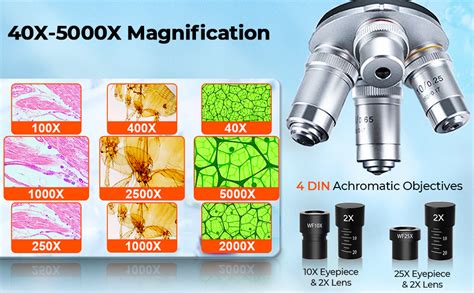 Image result for Nikon Microscope 5000X Magnification