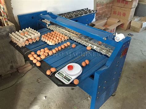 Image result for Egg Sorting Machine Design