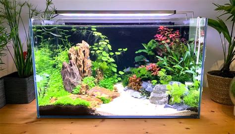 Image result for How to Make a Aquirium