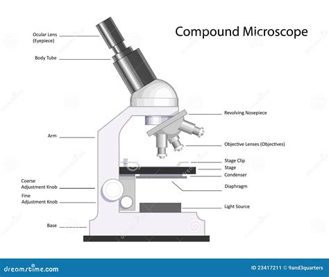 Image result for Compound Microscope Construction