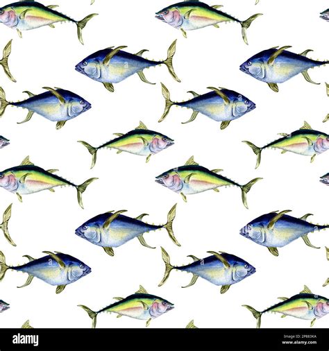 Image result for Fish Color Pattern