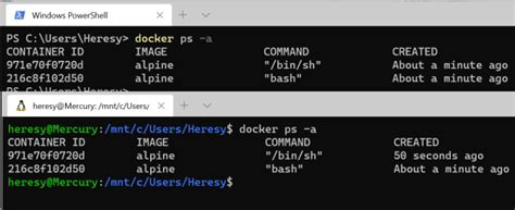 Docker Windows Subsystem for Linux に対する画像結果