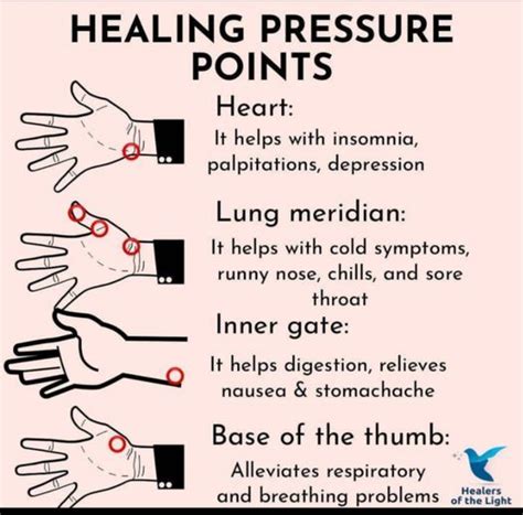 Pressure Points and Nerves に対する画像結果