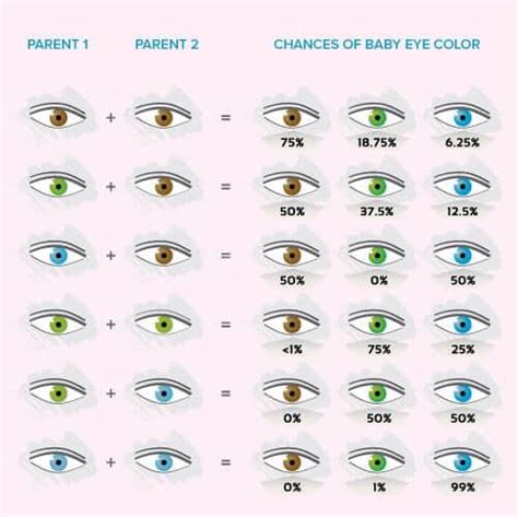 Image result for Eye Color Probability Chart