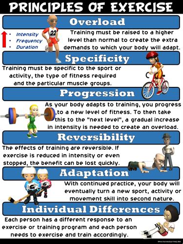 Image result for Principles Physical Activity Infographic