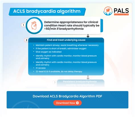Image result for ACLS Stroke Algorithm 2025
