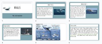 Animal Research Task に対する画像結果
