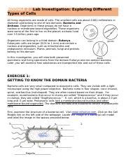 Image result for Differnt Cells Lab