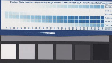 Image result for Negative Quantity Color