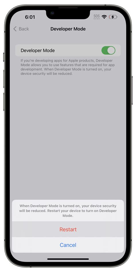 iPhone Developer에 대한 이미지 결과