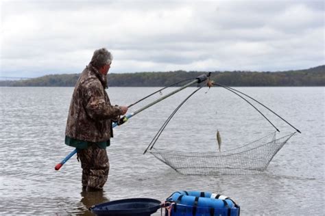Toradh íomhá ar Scap Net Frame