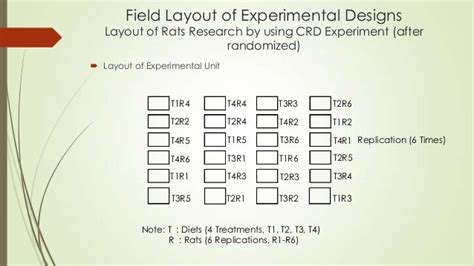 Image result for Complete Randomized Design Example