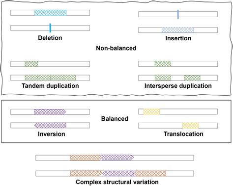 Toradh íomhá ar Structural Variation