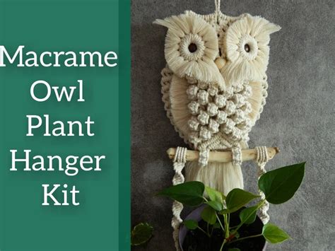 easy macrame owl patterns に対する画像結果