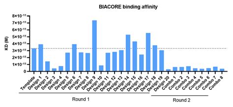 Afbeeldingsresultaten voor Affinity Maturation Method
