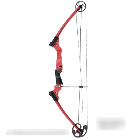 Image result for Parts of a Modern Archery Bow