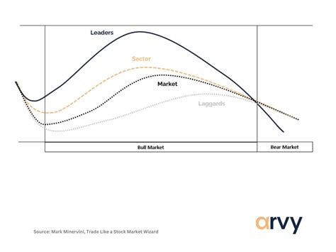 Maturation Cycle に対する画像結果