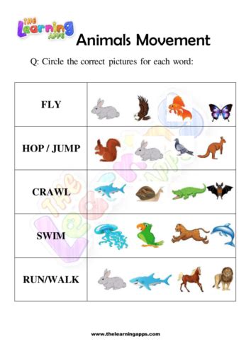Image result for How Animals Move Worksheet