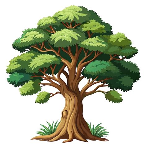 Afbeeldingsresultaten voor Realistic Tree Vector