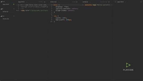 Image result for Playsinline HTML IP Home