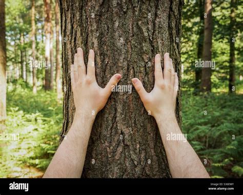 Oal Tree Next to a Human に対する画像結果