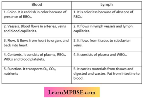 Image result for Difference B/W Blood and Lymph Class 10th