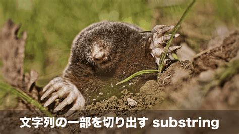 Image result for Extract Substring of a String Java