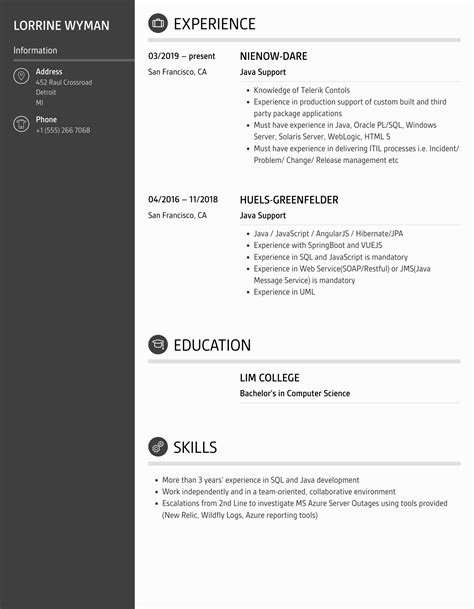 Image result for Resume for Java Support Role