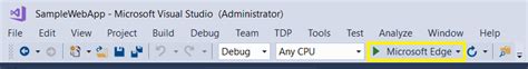 Image result for How Does a Visual Studio EXEFile Run On Web Page
