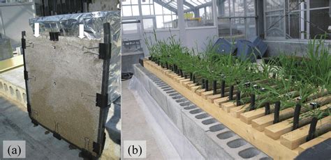 Image result for Root Box