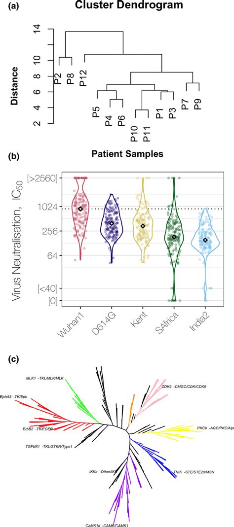 Image result for R Data Visualization in Bioinformatics