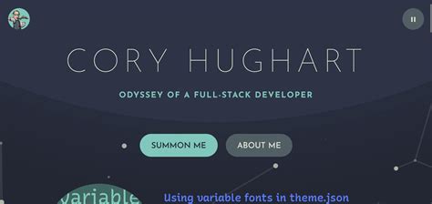 Image result for WordPress Developer Portfolio Examples